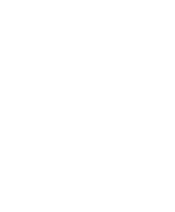 Petróleo